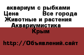 аквариум с рыбками › Цена ­ 1 000 - Все города Животные и растения » Аквариумистика   . Крым